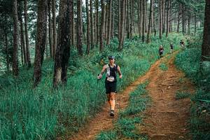 BIB: 
                            <button type="button" onclick="openModal(25653920)" class="btn btn-primary btn-sm float-right btn-popup" data-toggle="modal" data-target=".modal-high-quality">
                        <i class="fas fa-shopping-cart"></i> Add to Cart
                    </button>
                                            <button type="button" onclick="isThisMe(25653920, true)" class="btn btn-success btn-sm float-right btn-popup btn-isme hidden" data-toggle="tooltip" data-placement="bottom" title="นี่คือรูปของคุณใช่ไหม คลิกที่นี่เพื่อเอาเข้าอัลบั้ม">
                        <i class="fas fa-plus"></i> Add to album
                    </button>
                    <button type="button" onclick="isThisMe(25653920, false)" class="btn btn-warning btn-sm float-right btn-popup btn-isnotme hidden">
                        <i class="fas fa-ban"></i> Remove from album
                    </button>